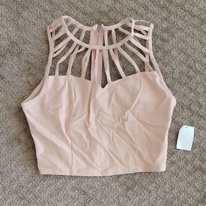 Charlotte Russe Pink Cut Out Bustier Crop Top